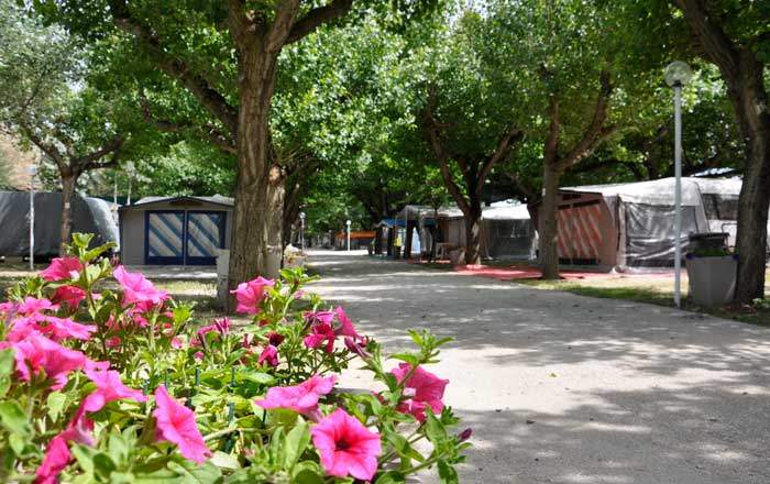 Camping a Senigallia - Viale Camping Senigallia Spiaggia di Velluto